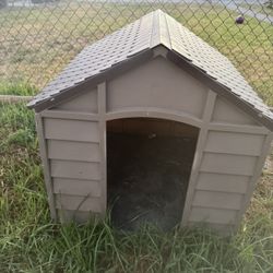 Dog House 