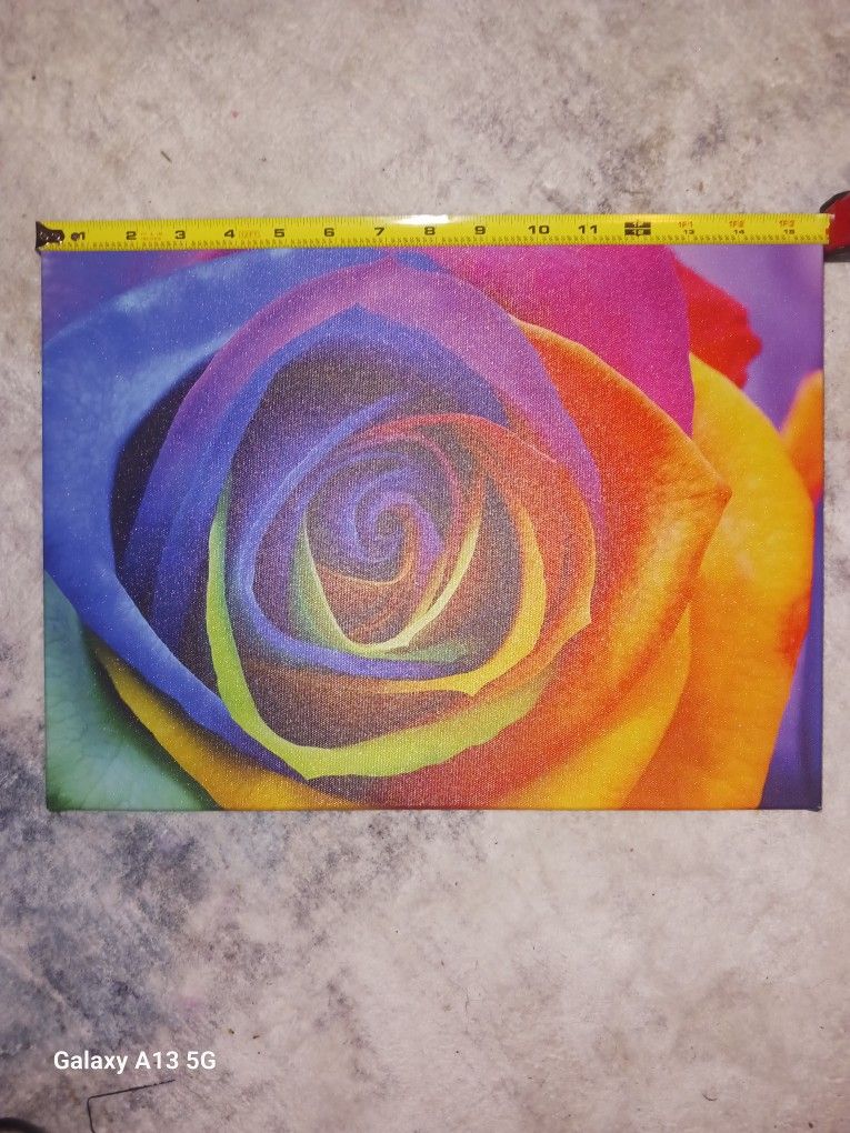 Rose Picture