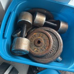 Weights 
