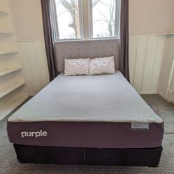 Purple - Restore Plus Soft (Queen Mattress)