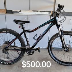 Liv Mountain Bike (Giant)