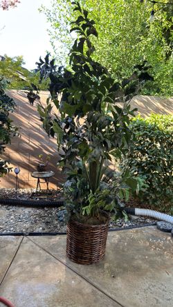 Artificial plants