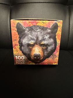 Premium Puzzle 100 piece