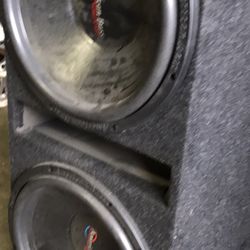 15 In American Bass 