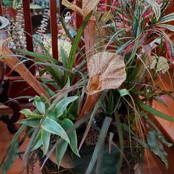 Artificial Flowers Arrangement