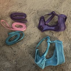 Pet Harnesses