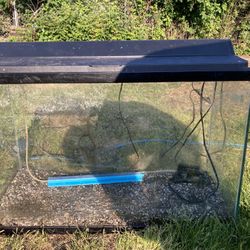 29 Gallon Fish Tank