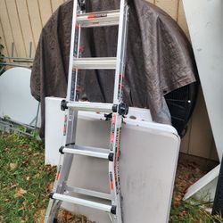 14ft Ladder Expandable New 
