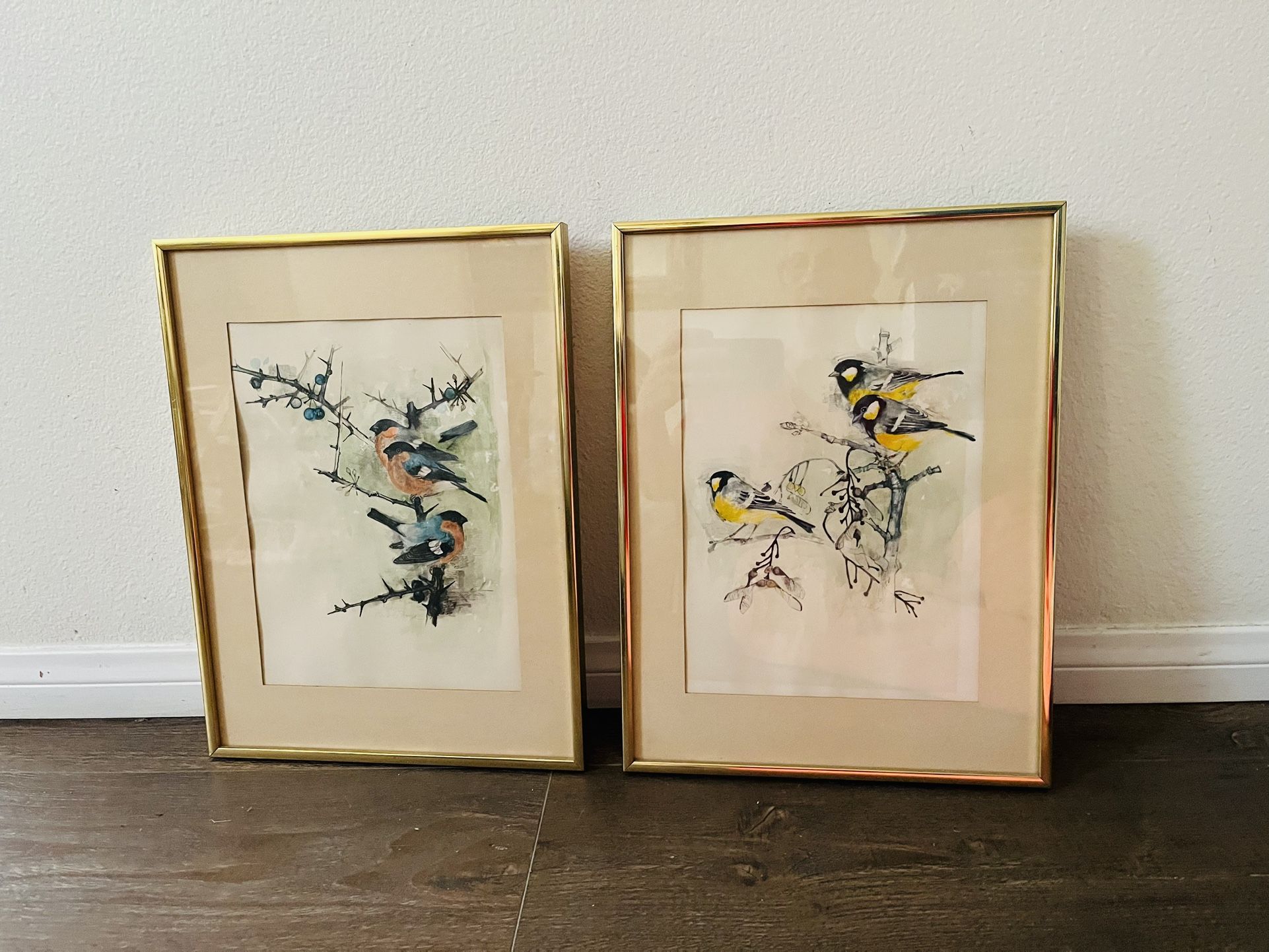 Framed Bird Art Prints with Gold Frames signed by Danish artist Mads Stage