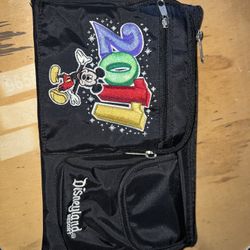 Disneyland Pouch Bag