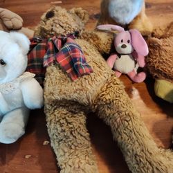 Stuffed Animal's Lot's Of 10 House Pickup $90.00