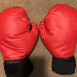 Training Boxing Gloves