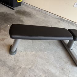 Life Fitness Bench 