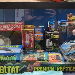Turtle Tank