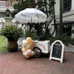 Paleta Cart