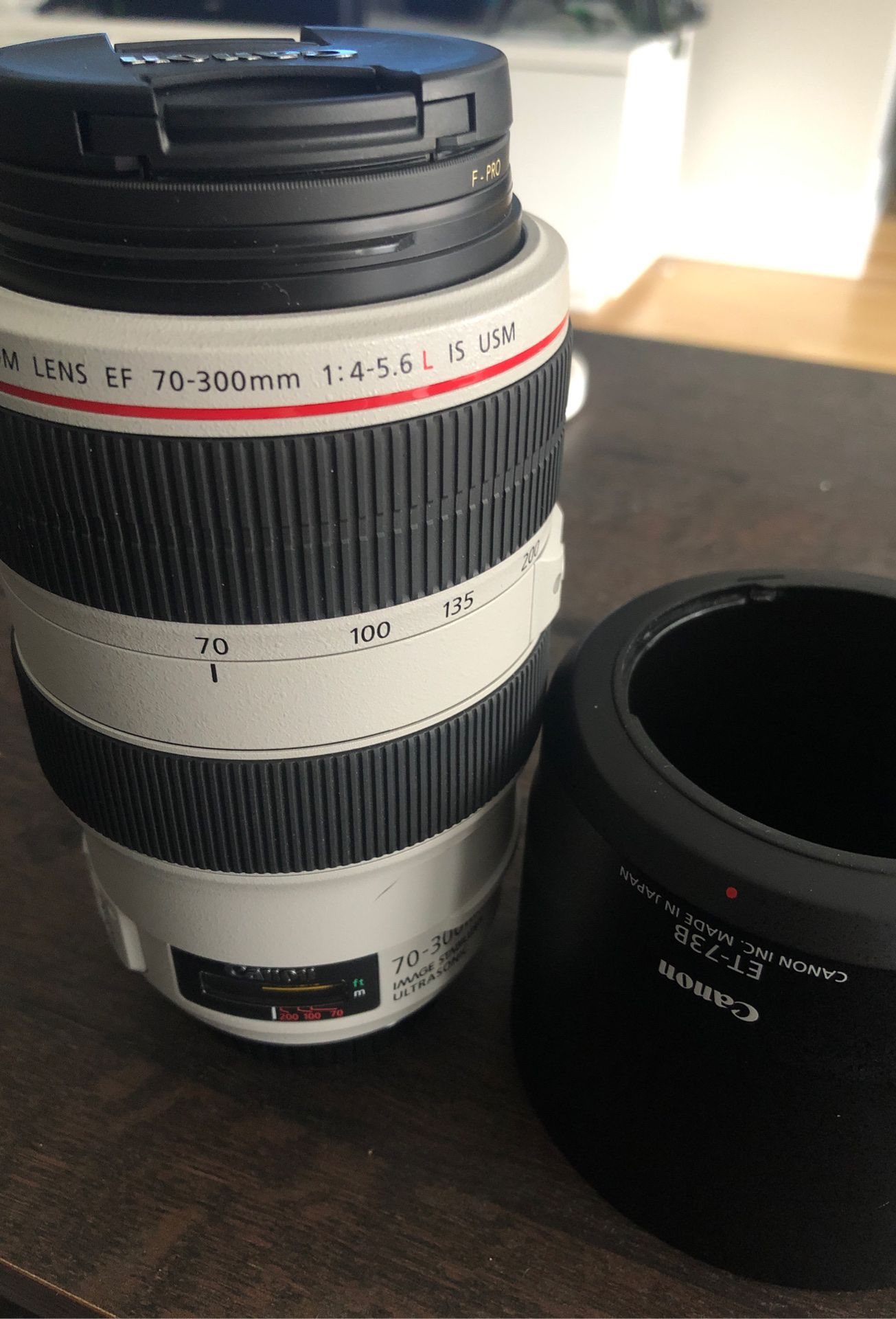 Canon EF 70-300mm 4-5.6L IS Lens