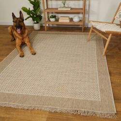 allen + roth with STAINMASTER Indy 8 x 10 Angora Indoor/Outdoor Border Area Rug

