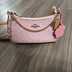 Brand New Powder Pink Teri Bag