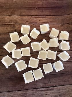 24 Seed Pots Planters Compostable Dissolving