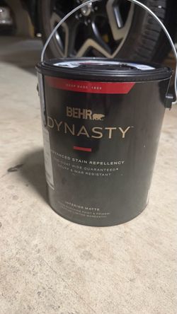 Matte Behr Dynasty Paint