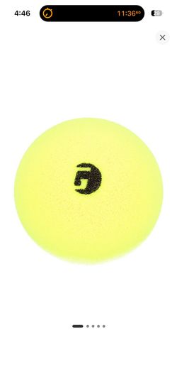 New Gamma Quiet Pickleball