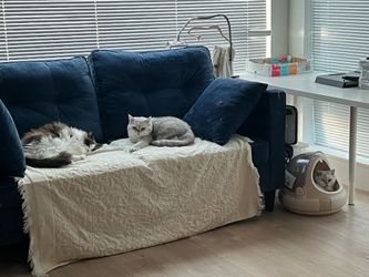 Blue couch