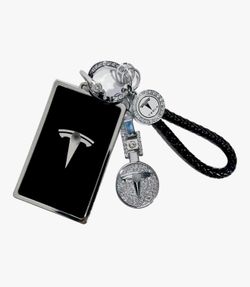 Tesla Keychain NIB