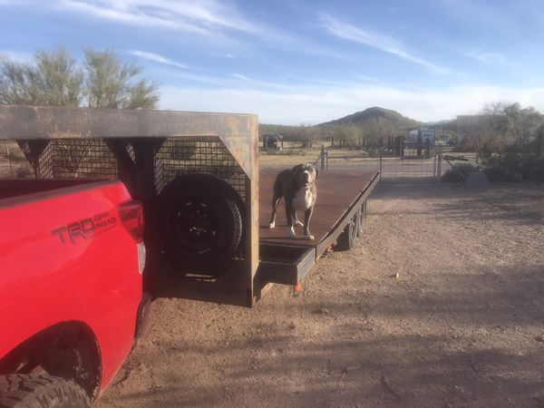 Shed and Container Relocation for Sale in Tucson, AZ - OfferUp