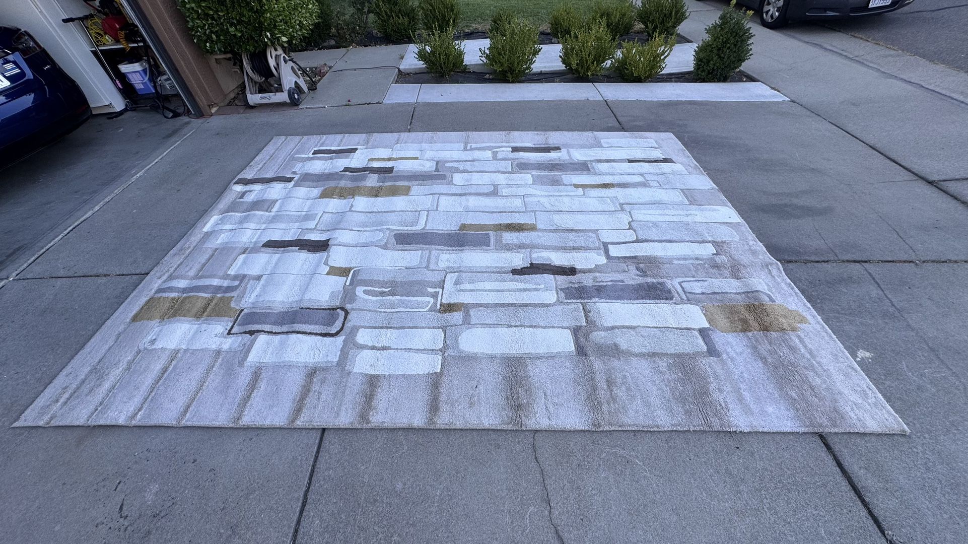 Rug (west Elm)