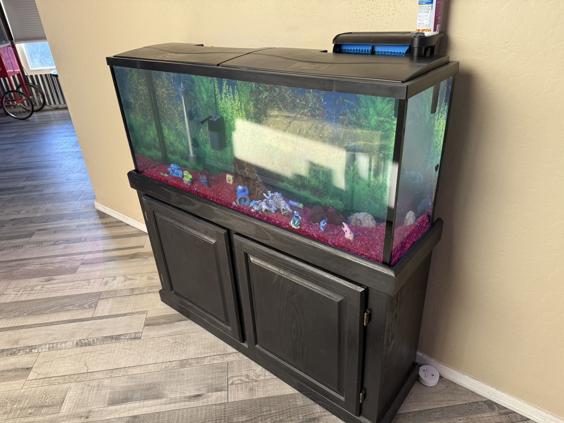 Aquarium