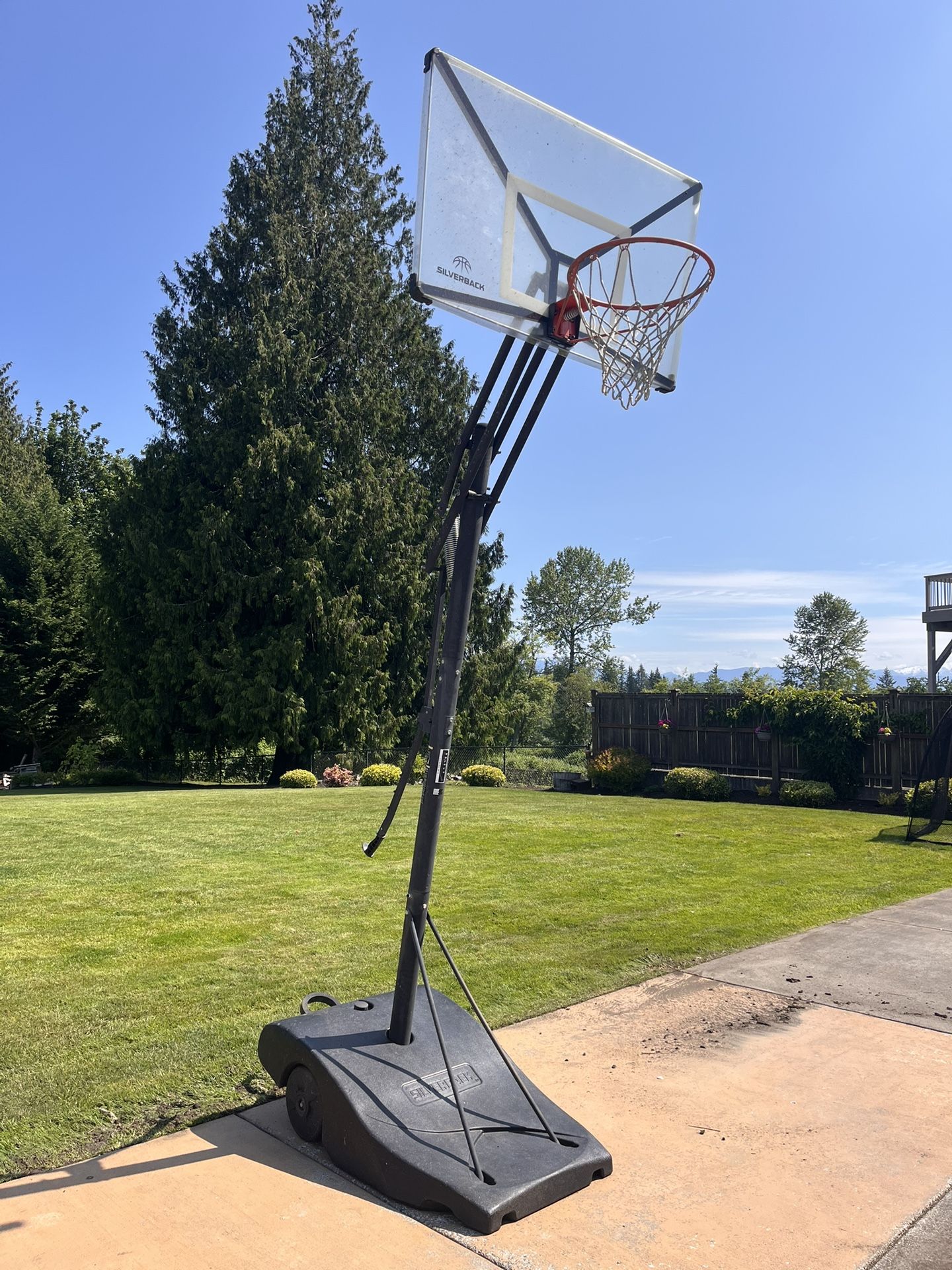 Silverback Basketball Hoop