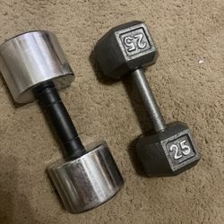 Dumb Bells 