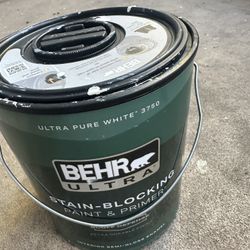 White Paint 