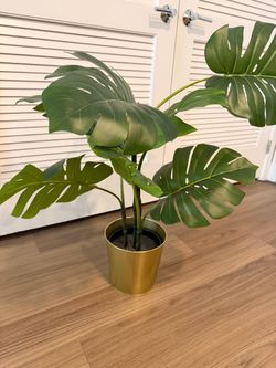 Faux plant with gold pot