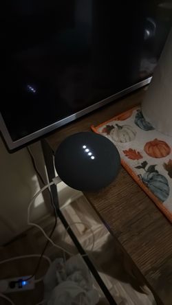 Google  nest