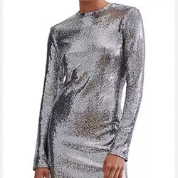 Silver Sequined Dress-7 For All Mankind