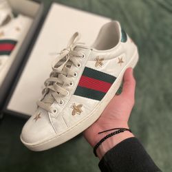 Gucci Bees And Stars 