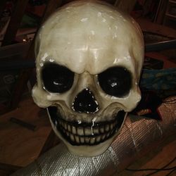 Huge Skull Halloween Prop 30x18"