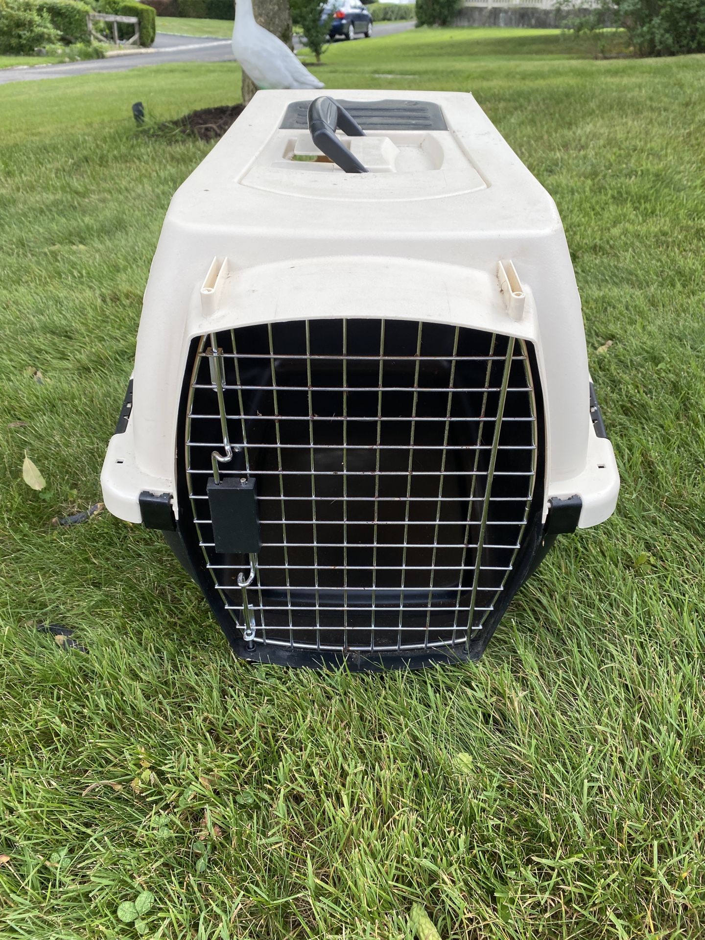 Pet Carrier / Kennel Small Dog Cat  