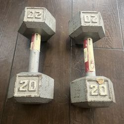 Set of Two 20lb Dumbbells 