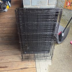Dog Cage 