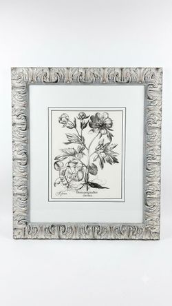 Black White Peonie" Botanical Companion Print