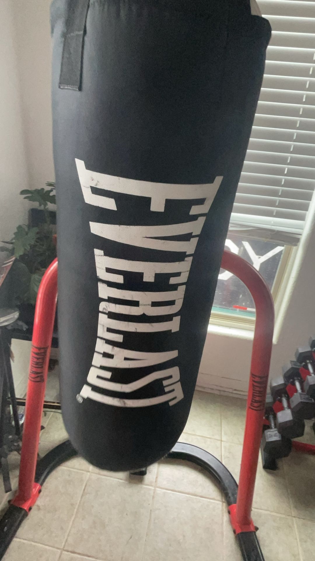 40 Lb Everlast Heavy Bag