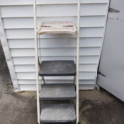 Costco Metal Step Ladder 