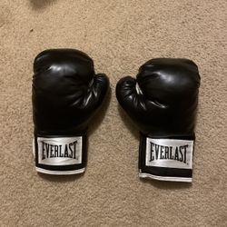 12 oz Small Everlast Boxing Gloves