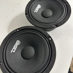 Ds 18 6.5 Speakers