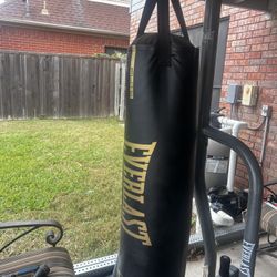 Everlast punching bag and stand with mma gloves