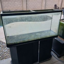 Really Cool 65 Gallon Tall Fish Tank With Stand