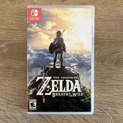 Nintendo Switch Breath of the Wild Video Game