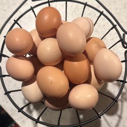 Fresh Eggs